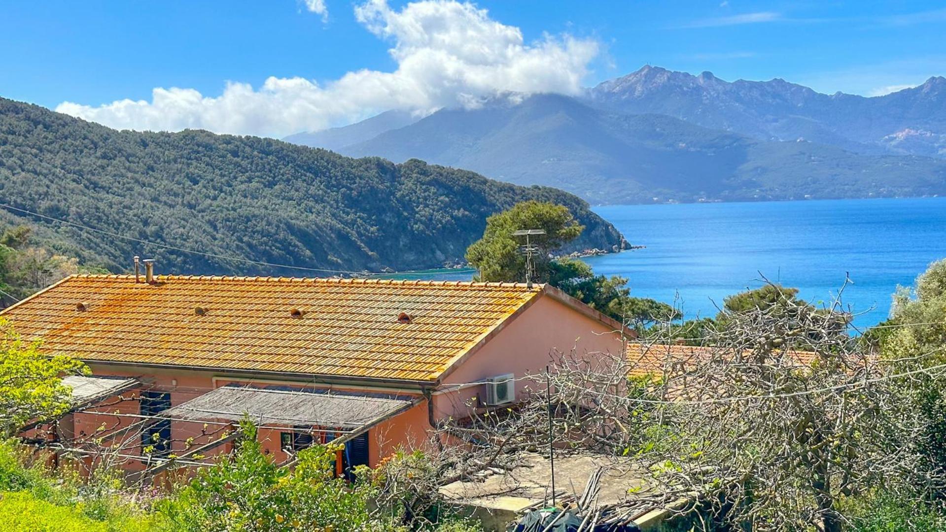 Viticcio Aurora E Fiorita - Goelba *